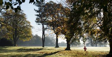 Person running through Moor Park