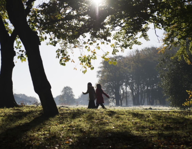 Figure 2  of the Tree Strategy, Walking in Moor Park, Preston