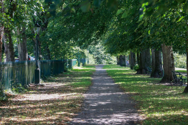 Figure 3 of the Tree Strategy, Avenham Park, Preston