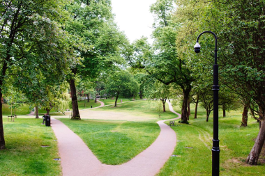 Figure 4 of the Tree Strategy - Green space in the heart of the city at Winckley Square Gardens, Preston