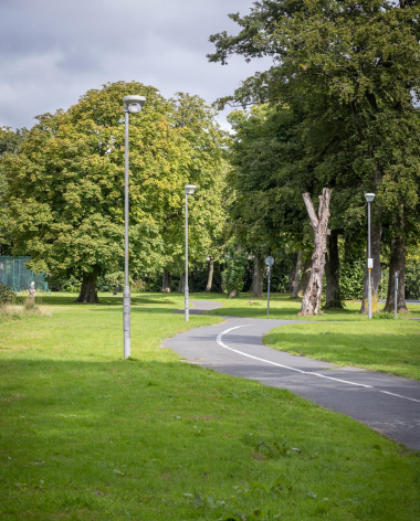 Figure 5 of the Tree Strategy, Mature trees and standing dead wood habitats in Ashton Park, Preston