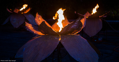 Fire Garden flower