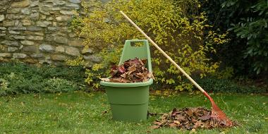 A serene autumn scene captures the essence of seasonal change, as a green bucket overflows with vibrant leaves, resting against a stone wall. Nearby, a rake lies beside a pile of freshly gathered foliage, inviting a moment of reflection on nature’s beauty