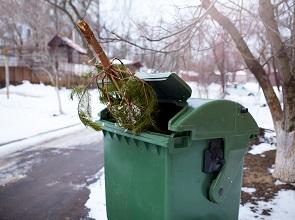 Used and abandoned tree in rubbish bin waits for collection. 